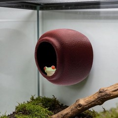 Jumping Spider Nest Spider Hideout Tree Frog Hide Hermit Crab Climbing House …
