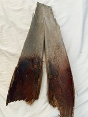 All Natural Palm bark- 2-3 pieces. Great for isopods and vivariums