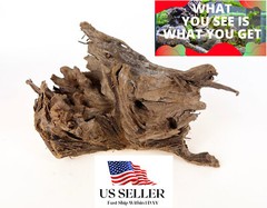 NATURAL MANGROVE DRIFTWOOD #M111 WYSIWYG – AQUASCAPING, SUPER PRICE!! DECORATION