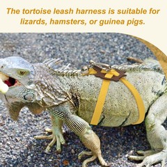 Tortoise Leash Harness with Bell, ( Leather, Small, Yellow )
