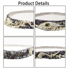 Reptile Water Bowl Feeding Dish for Bearded Dragon Turtle Snake Lizard