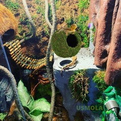 Mossy Caves, Artificial Green Moss Caves Hide for Pet Reptile Frogs and Snake…