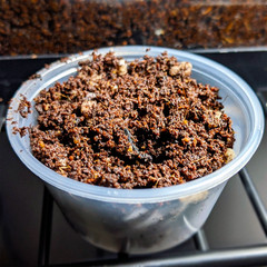 Bioactive Spring Tail Soil Culture | Tropical Temperate Terrarium Clean Up Crew