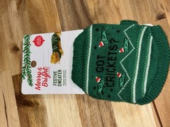Bearded Dragon Christmas Sweater