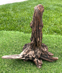 Large Manzanita Natural Driftwood for Fish & Reptile Aquariums, Decor 16x14x5