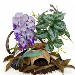 Crested Gecko Terrarium Decor Kit – 5PCS Rainforest Tank Accessories with Coc…