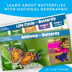 NATIONAL GEOGRAPHIC Butterfly Growing Kit – Butterfly Habitat Kit with Vouche…