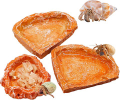 3 Pack Reptile Food Dish, Resin Hermit Crab Food & Water Bowl, Reptile Feeding F