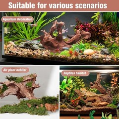 2-Piece 10-14 inch Natural Aquarium Driftwood Decorations – Aquascape Decor f…