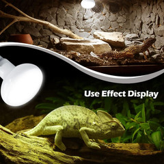 2 Pack 50W Reptile Heat Lamp Bulb Amphibian Basking Light Bulb, Reptile Daylight