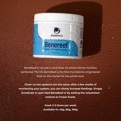 Benepets BeneReef Powder Complete Reef Nutrition – 1.4 Ounce (Pack of 1)