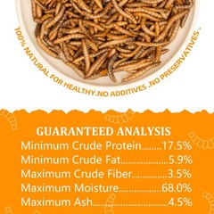 JADINGSFARM 6 Pack Canned Mealworms for Reptiles, Fish, 7.2 Ounce (Pack of 1)