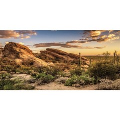 AWERT Reptile Habitat Background Blue Sky Oasis Cactus Sun and Desert Terrarium