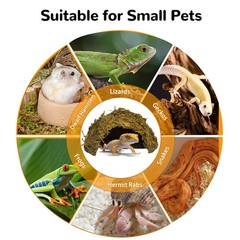 Green Coconut Leopard Gecko Hide Reptile Cave Tank Accessory