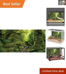Foggy Rainforest Terrarium Background 48×18″ for Stunning Aquatic Habitats