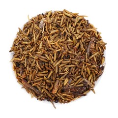 1LBS Bulk Dried Insect Trail Mix Dried Mealworms BSFL Dried Crickets Grasshopper