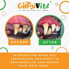 GINGIVITE Dog Teeth Cleaning Gel Vet Approved | Eliminate Plaque, Tartar Bad…