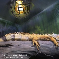 Heater Guard for Reptiles, Anti Scald Lampshade for Light Bulb Amphibians Bird