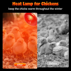 Heat Lamp Bulbs for Chickens, 150W Infrared Heat Lamp 1 Pack, Red Heat Lamp Bulb