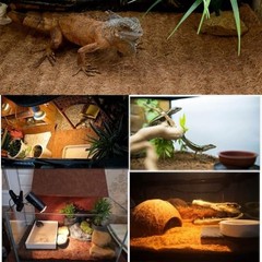 Hamiledyi Reptile Carpet Natural Coconut Fiber Tortoise Carpet Mat 