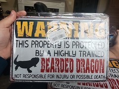 Lot Of 3 Beware Of Bearded Dragon Sign Reptile Dragons Bearded Dragon…
