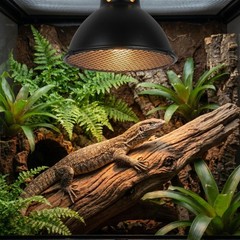 2pc Heat Lamp Cover for Reptile Enclosures | 5.62 Inch Protective Mesh