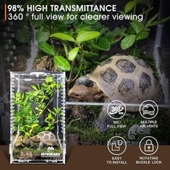 Multi-Species Acrylic Terrarium – Spider, Snail & Frog Home, 160 Cubic Inches