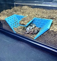 Hermit Crab Tank Decor Underground Tunnel Hideout Cave Hermit Crab Accessories