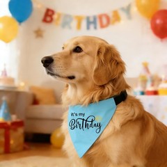 Adjustable Reversible Dog Birthday Boy Bandana Collar, Premium Durable Double…