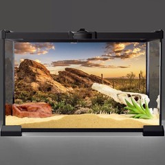 AWERT Reptile Habitat Background Blue Sky Oasis Cactus Sun and Desert Terrarium
