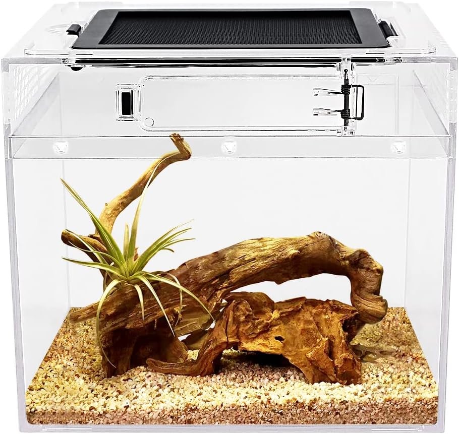 Mini Reptile Terrarium,8″ x 8″x 8″ Tank with 8 x 8x 8, Transparent