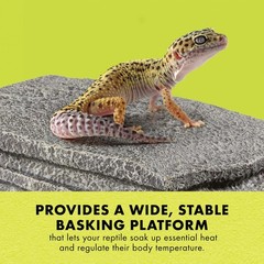 Zilla Herp Hotel, Naturalistic Hide and Basking-Platform for Leopard Geckos, …