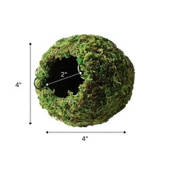 Galpagos 05346 Mossy Cave Hide 4 Inch Green Reptile Terrarium Habitat Decor
