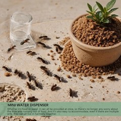 2pcs Mini Ant Water Feeder – Transparent Liquid Feeding Bowls for Ant Farms S…