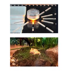 Transparent Desktop Reptile Box Acrylic Reptile Breeding Box with LED Light