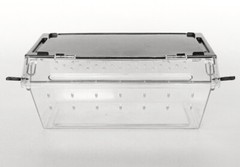 Reptiles-Planet Aufzuchtbox Premium 9 3/8×6 1/2×4 1/8in – Easy Airy – Stackable