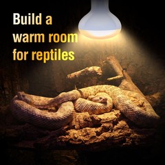 Reptile Heat Lamp 100W Day Night Combo Pack Turtle Lizard Snake Bulb