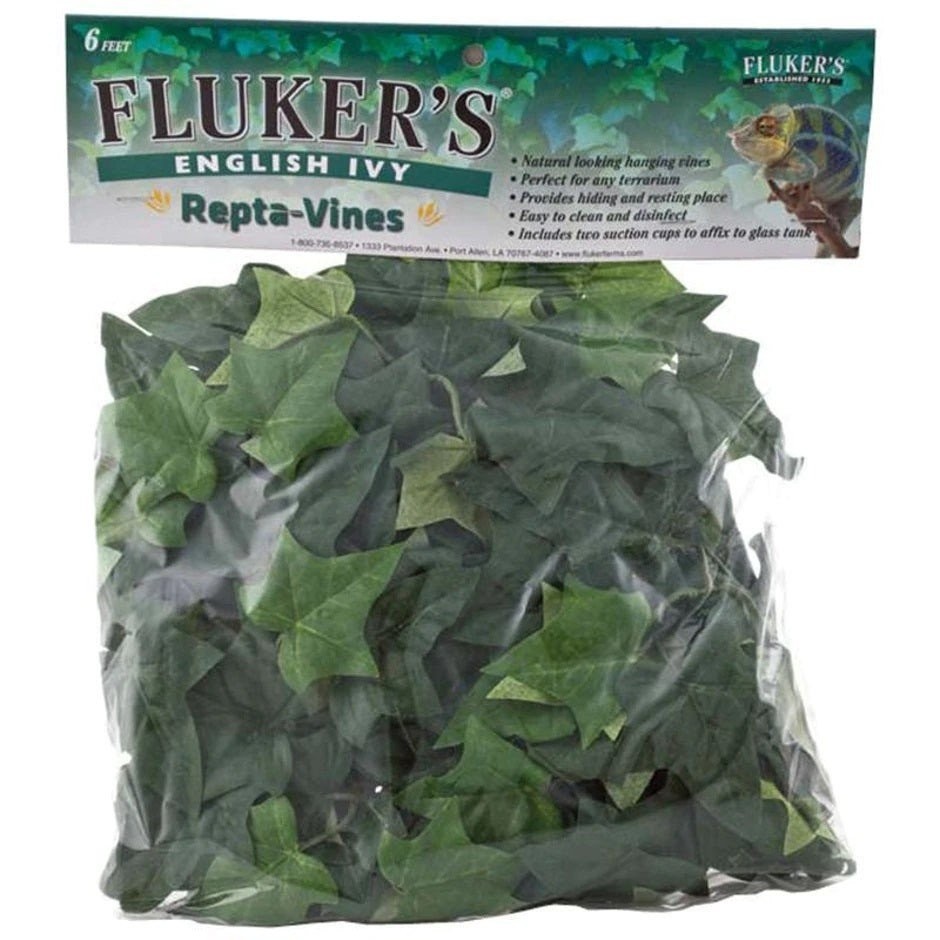 Fluker Repta Vine English Ivy