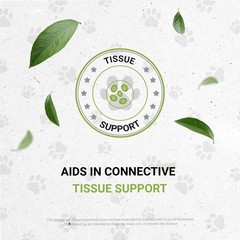 Reptilian Bones | Natural Dietary Pet for Reptiles | Healthy Bones | Alcohol-…