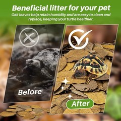4.9 OZ Dry Oak Leaf Litter – Leaf Litter for Reptiles Oak Leaves for Isopods …