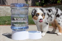 PetFusion H2O Gravity Pet Water Dispenser. Durable 2.5 Gallon Waterer Feeder….