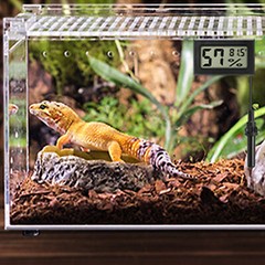 Digital LCD Indoor Reptile Temperature Sensor Humidity Meter Hygrometer Gauge