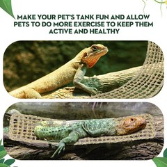 3 Pieces Bearded Dragon Hammock Reptile Hammock Lizard Climbing Lounger with …
