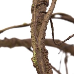 Reptile Ultimate Vine Terrarium Habitat Brown
