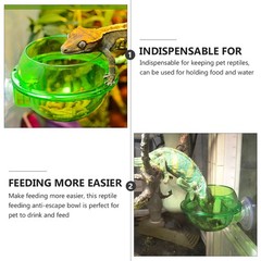 4 Pcs Reptile Feeding Basin Feeder Bowl Gecko Water Dish for Reptiles