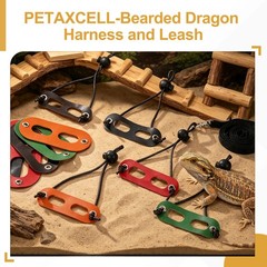 3Pcs Bearded Dragon Lizard Leash Harness Soft Leather S/M/L Green