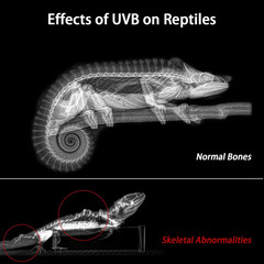 39-Inch LED UVB Reptile Light with Auto On/Off & Preset Day-Night Cycle Dimming,