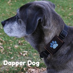 Dapper Dog Pet Tag Silencer – Ballistic Nylon (Black with Blue Paw Print)