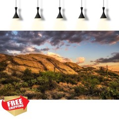 Riivvdise 36x18in Gobi Grey Desert Reptile Background