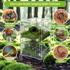 Acrylic Jumping Spider Enclosure with Removable Divider – 12″*8″*8″ Large Reptil